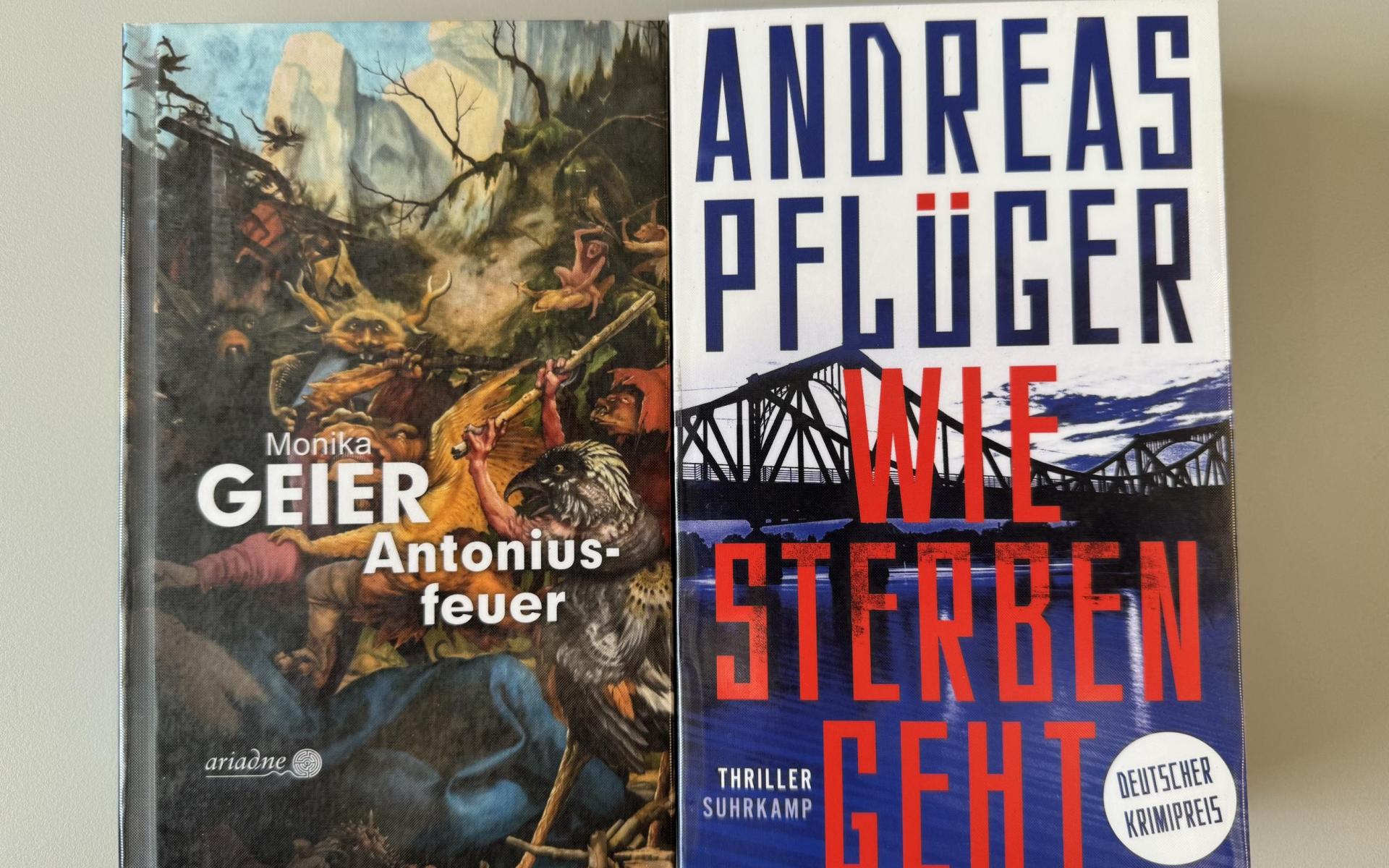 Neue Bücher Dezember 2024